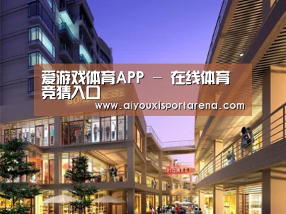 案例展示一(图1)